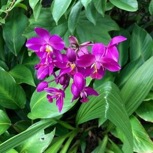 Meet your Posher, Tuyen